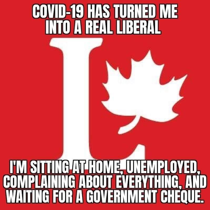 Image showing the logo of the Liberal Party of Canada accompanied by meme text