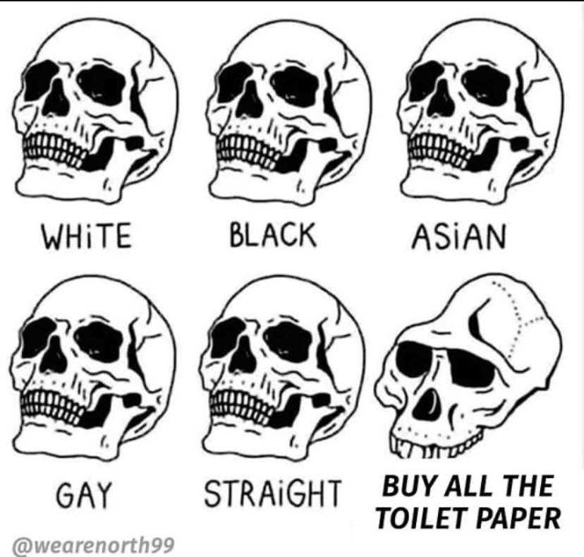 Two rows of three skulls labelled "White", "Black", "Asian", "Gay", "Straight", and "Buy all the toilet paper". The last one is depicted as if there was no room for a brain in it.